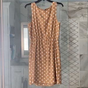 J.Crew Polka dot dress